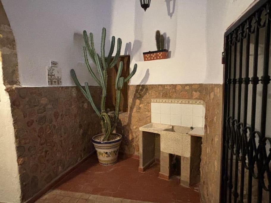 Ca Federo, Casa La Tia Elena Dom wakacyjny *
